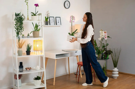 Simplify-and-Style-Smart-Essentials-for-Every-Space SKYNIX