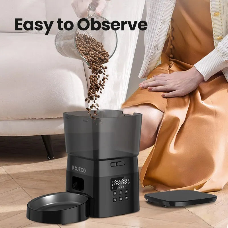 caat food putting in automatic cat feeder