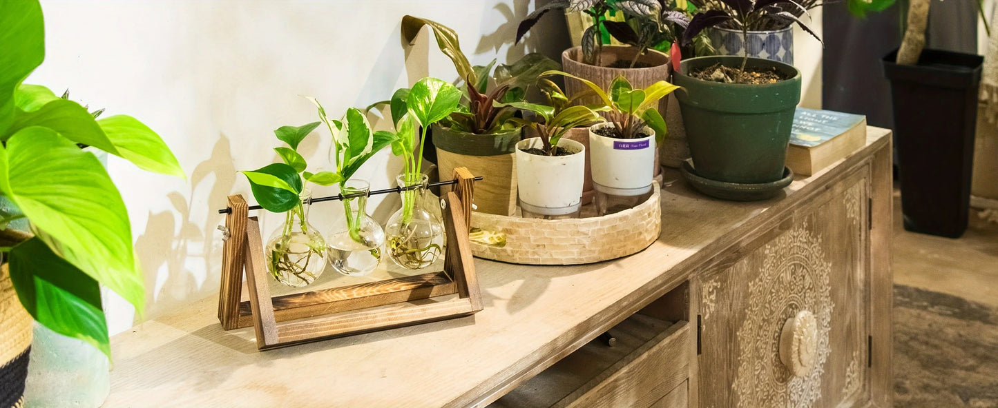Tabletop Glass Planter – Propagation Station with Wooden Rack | Hydroponic Terrarium Vases for Home & Room Decor