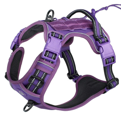 Purple dog harness with black accents on a white background