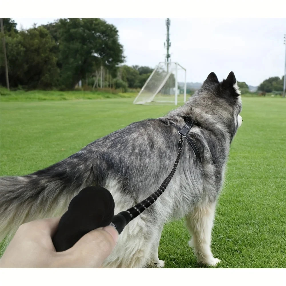 Reflective Dog Leash with Comfortable Padded Handle - SKYNIX