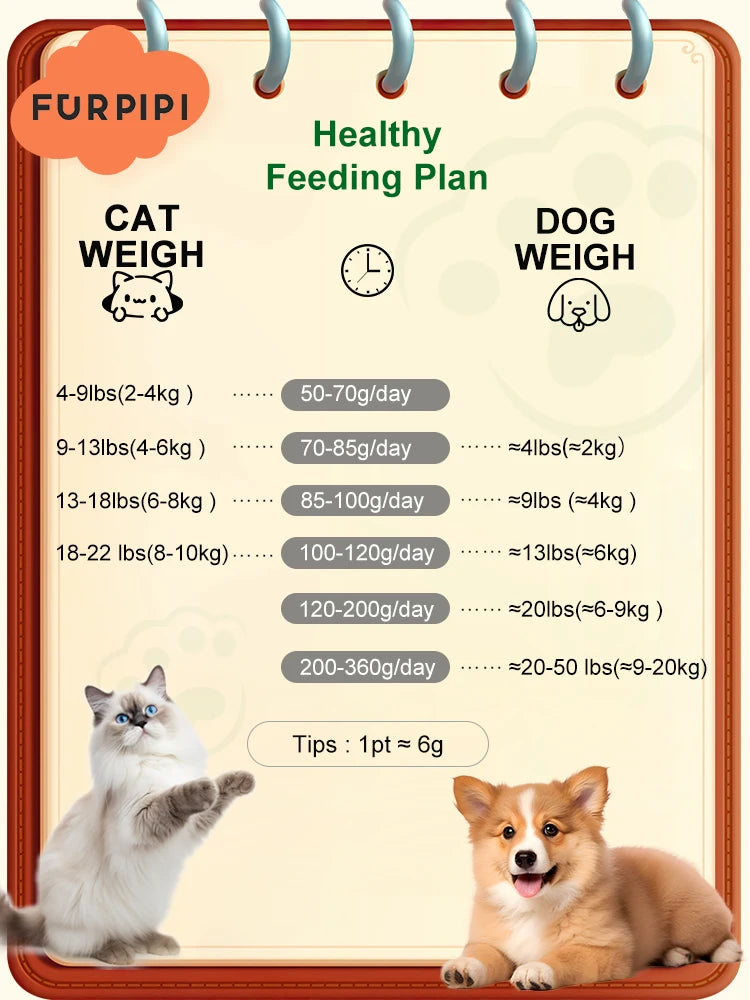 Feed & Watch Your Pet Anytime — From Anywhere, pet monitoring device