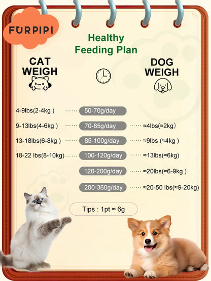 Feed & Watch Your Pet Anytime — From Anywhere, pet monitoring device